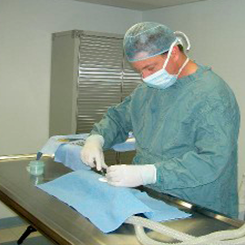 Veterinary Services