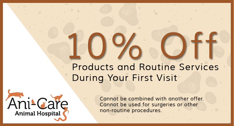 10% Off Coupon